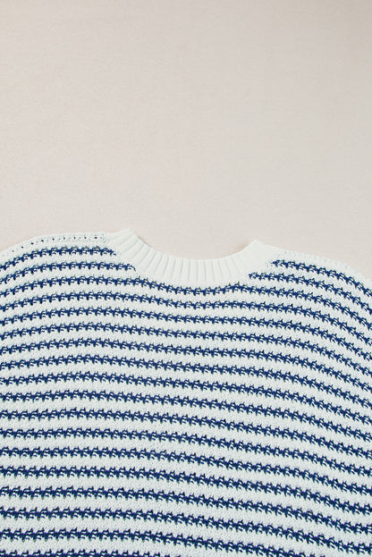 Blue Stripe Contrast Trim Knit Dolman Top