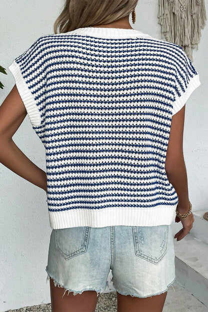 Blue Stripe Contrast Trim Knit Dolman Top